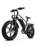 1000W Peak Electric Mountain Bike 48V 13Ah T19672