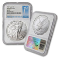 1 oz American Silver Eagle Coin MS-70 S2862
