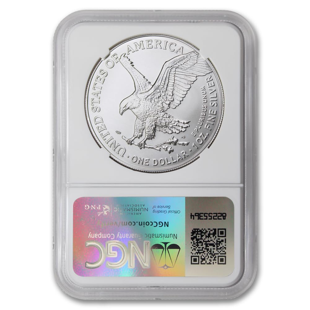 1 oz American Silver Eagle Coin MS-70 S2862