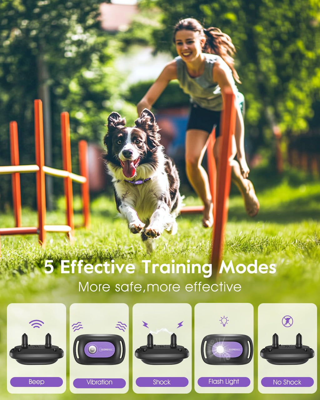 Dog Shock Collar 2 Dogs M856