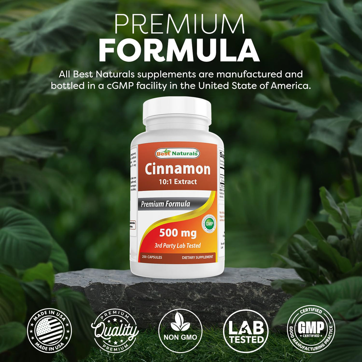 Cinnamon 500 mg 250 Capsules X5926