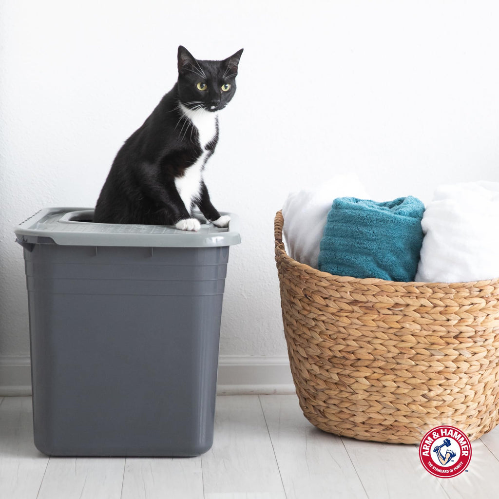 Top Entry Litter Box with Filter X8216