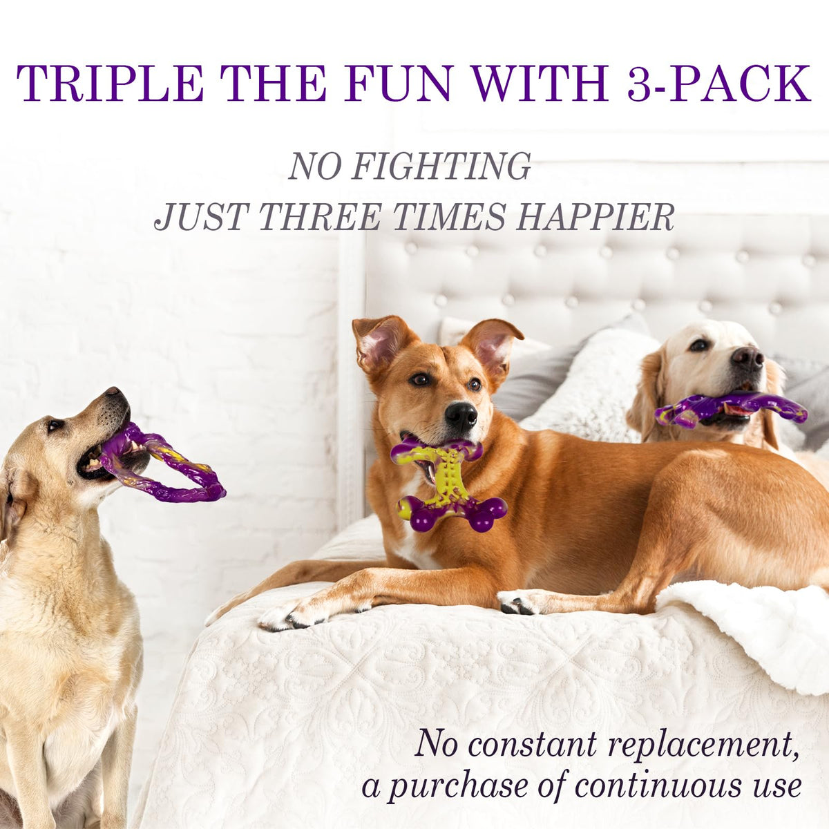 Tough Dog Chew Toys 3 Pack for Large Dogs L4520