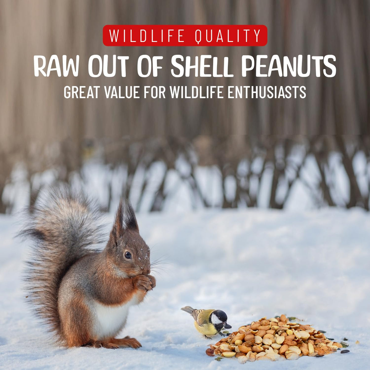 Raw Shelled Peanuts 5 Pounds O868