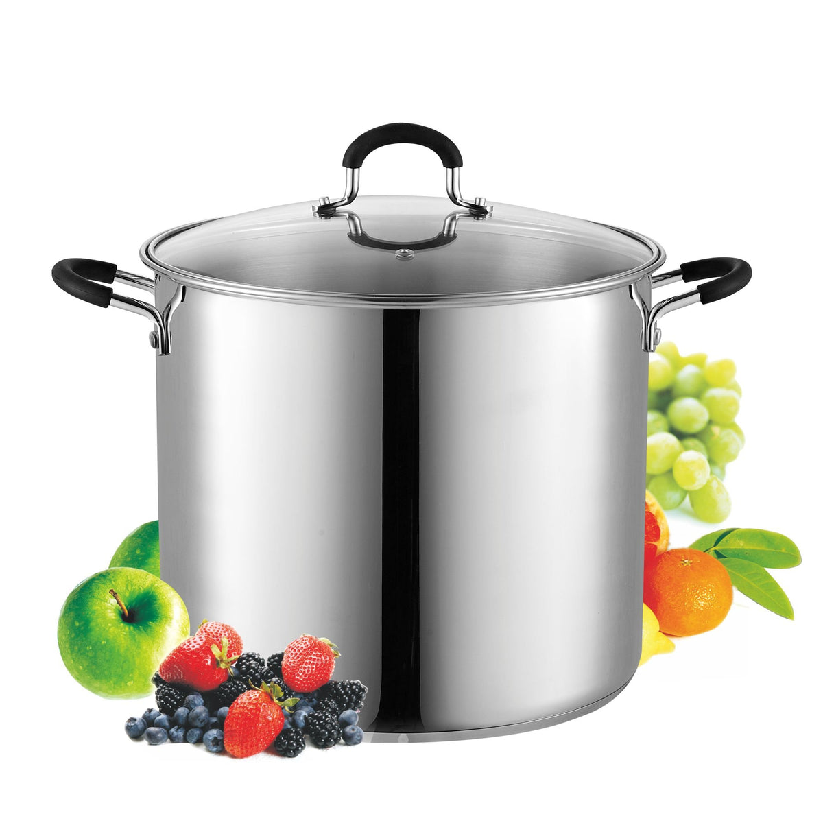 12-Quart Stainless Steel Stock Pot with Lid P552919