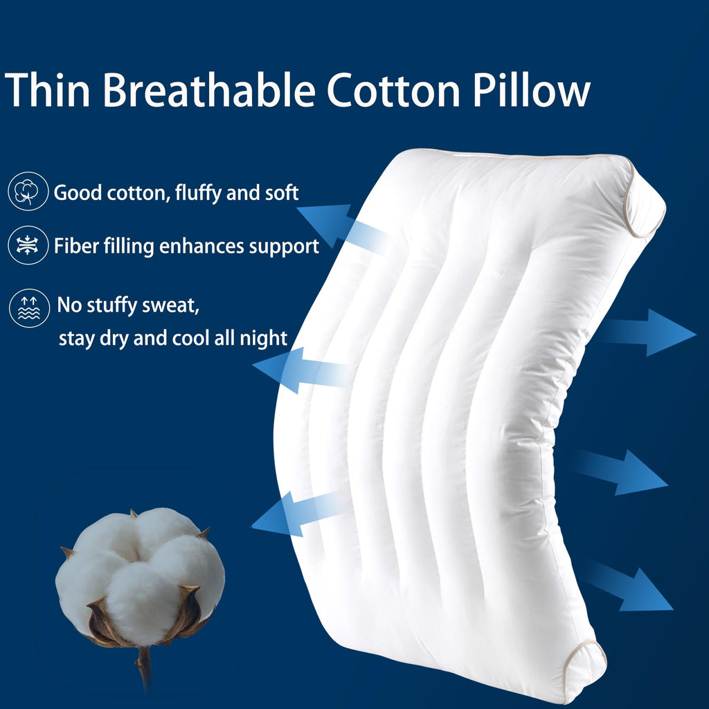 King Size Set of 2 Ultra Thin Pillow U118931
