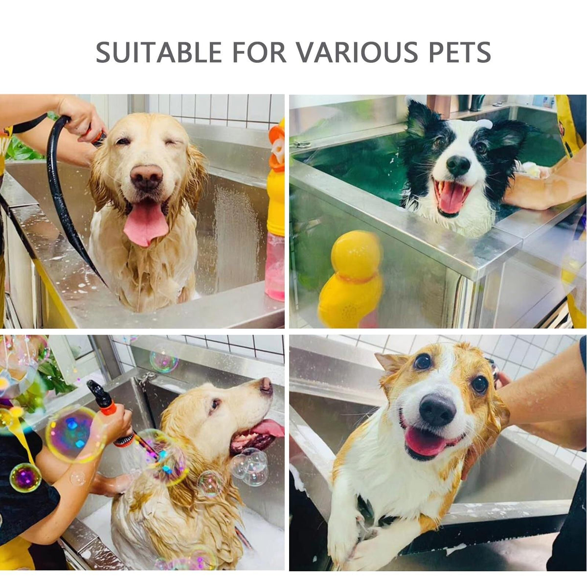 Stainless Steel Dog Washing Station with Sliding Door C34209