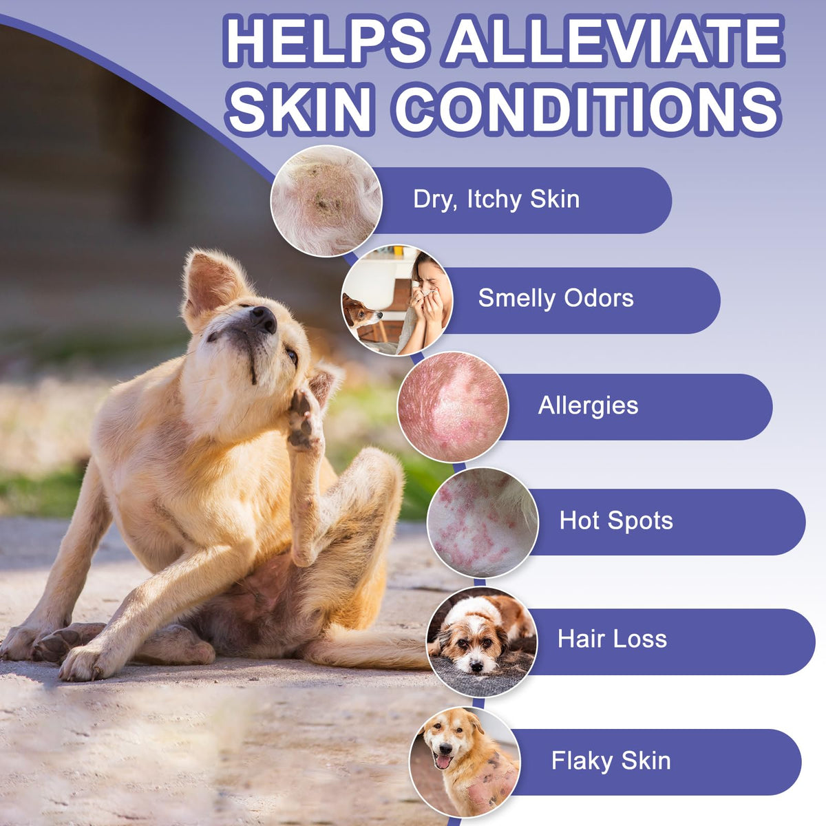 Medicated Dog Shampoo with 2% Miconazole & 2% Chlorhexidine 17 oz P510