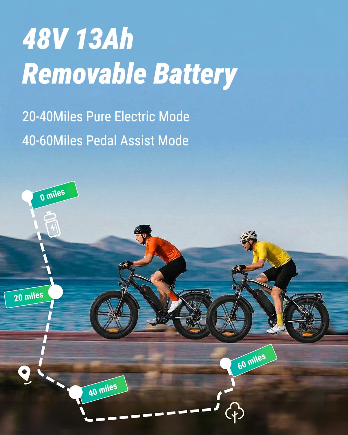 1000W Peak Electric Mountain Bike 48V 13Ah T19672
