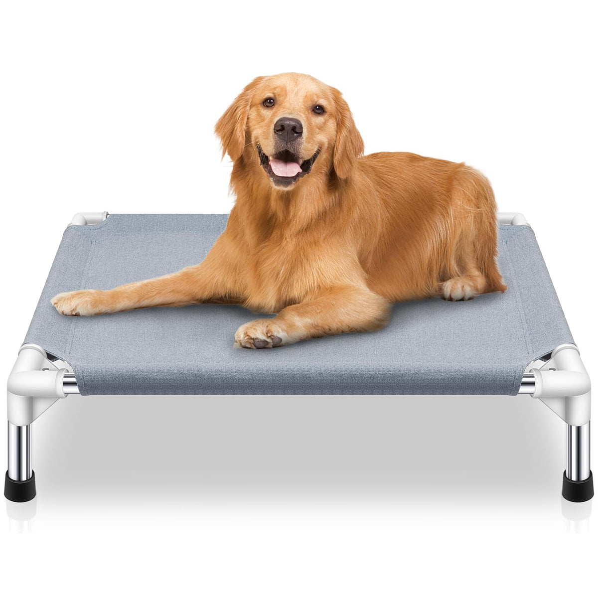 Elevated Raised Dog Bed J7641