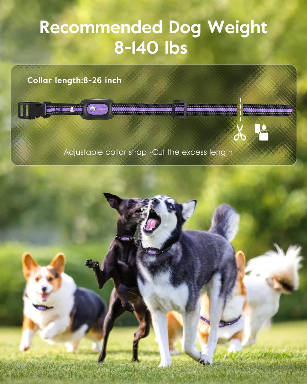 Dog Shock Collar 2 Dogs M856