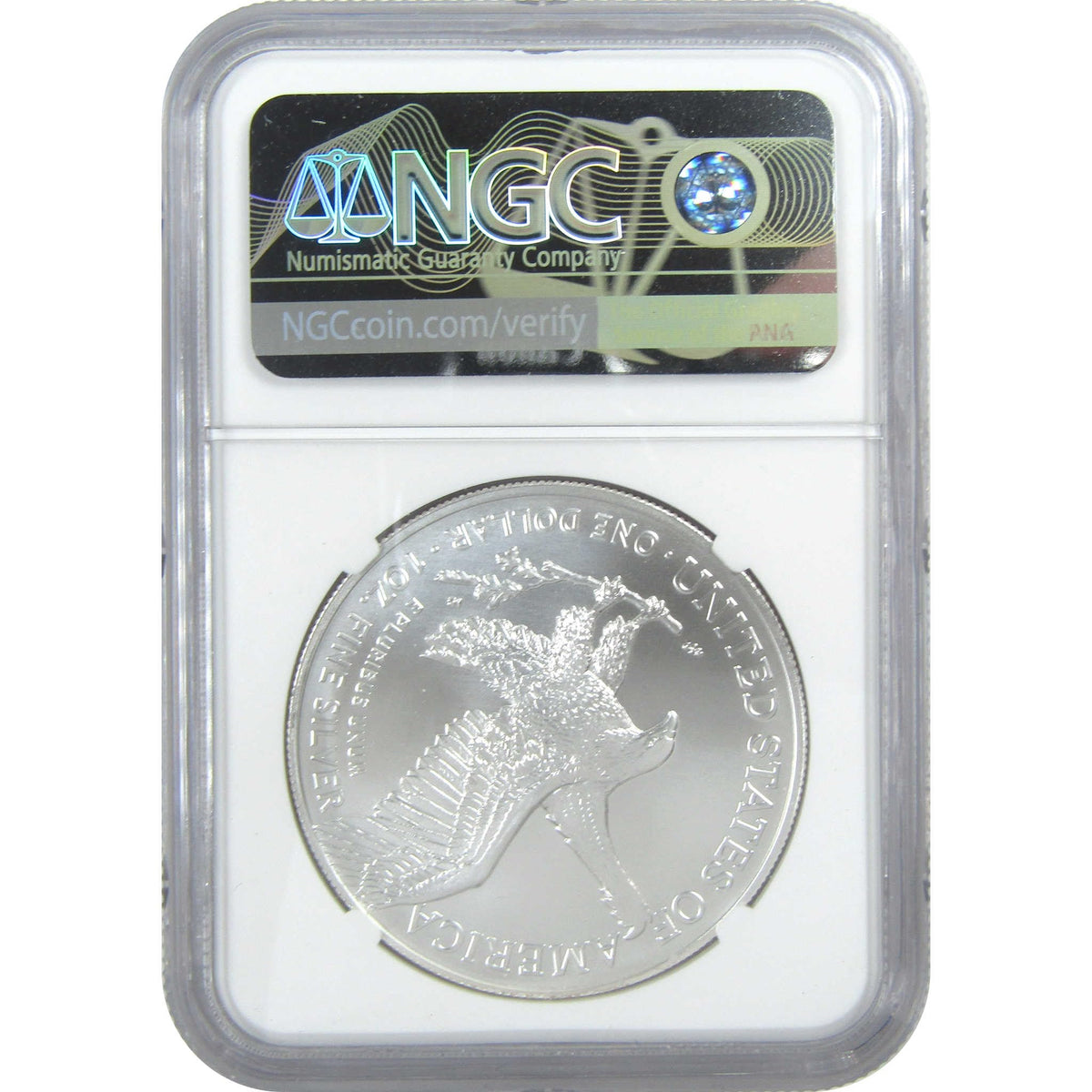 2023 American Silver Eagle Uncirculated $1 Coin E5179