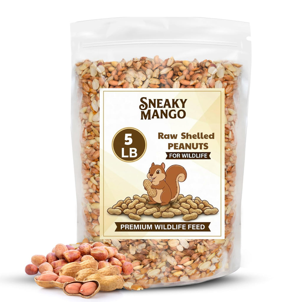Raw Shelled Peanuts 5 Pounds O868