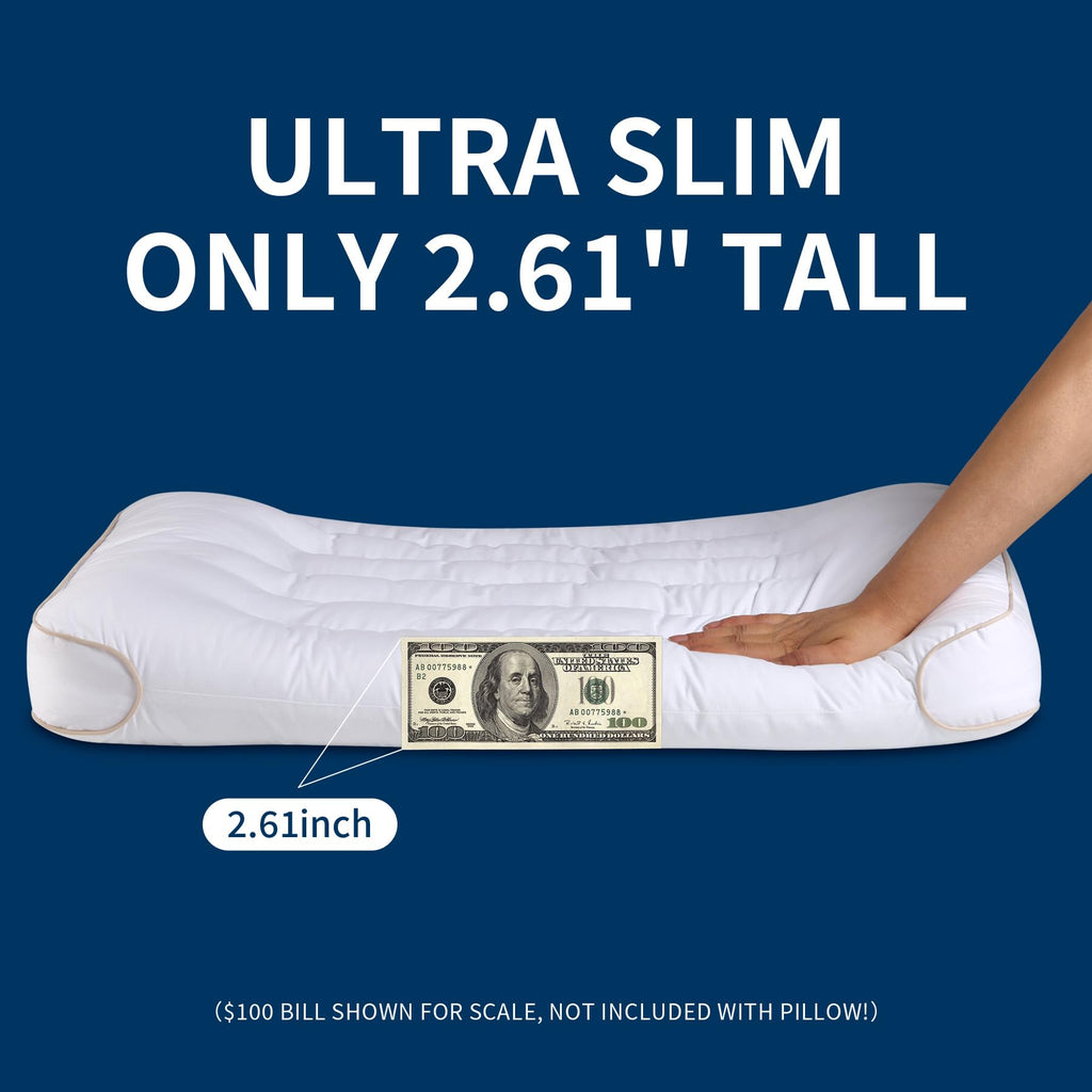 King Size Set of 2 Ultra Thin Pillow U118931