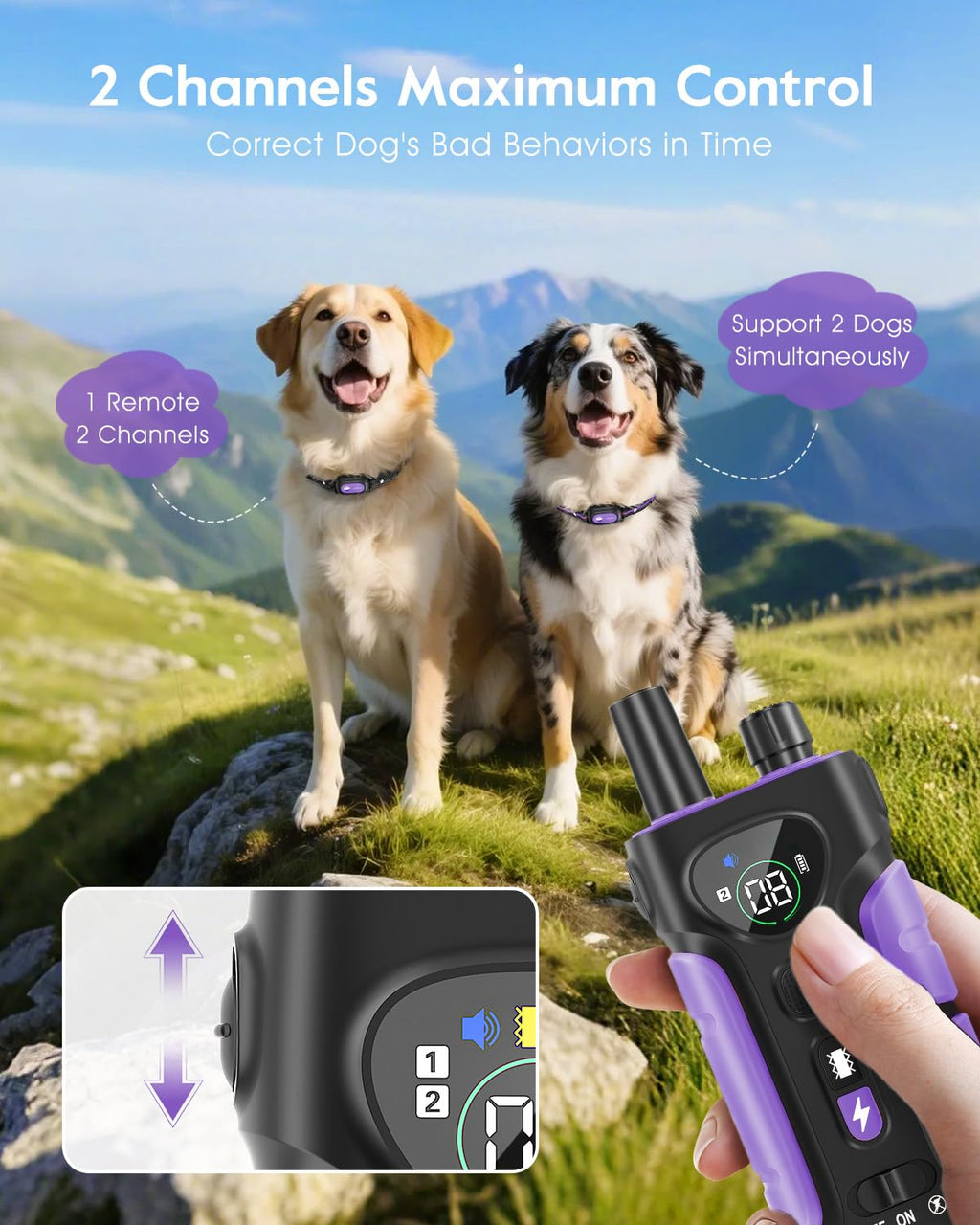 Dog Shock Collar 2 Dogs M856