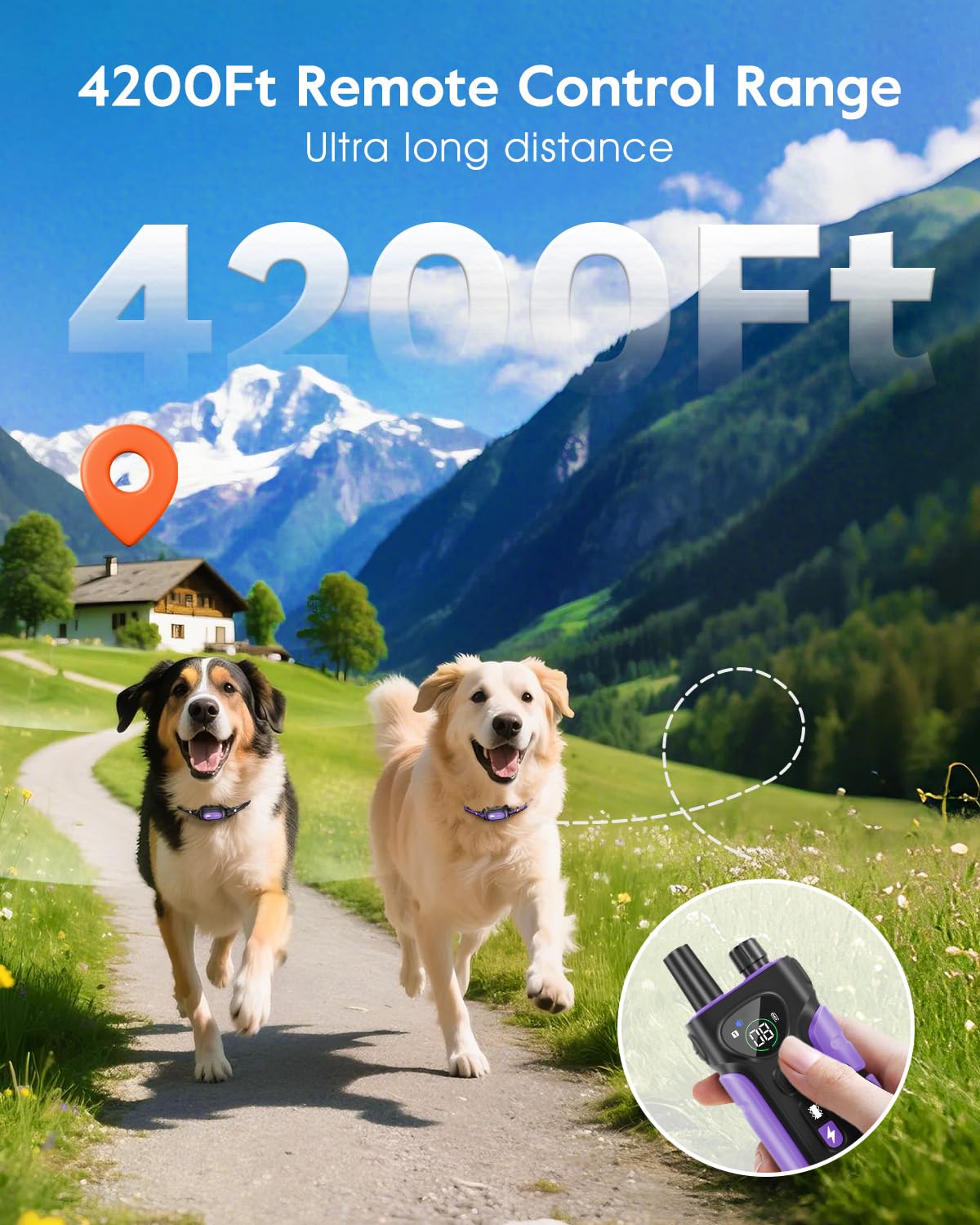 Dog Shock Collar 2 Dogs M856