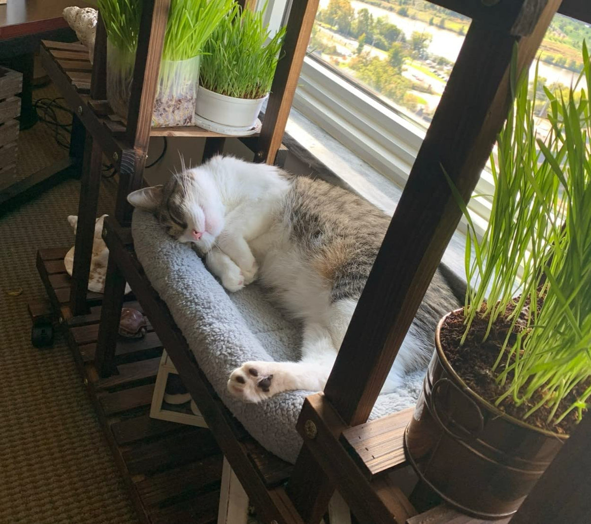 Cat Bed with Pillow, Anti Skid Bottom, Small U8854