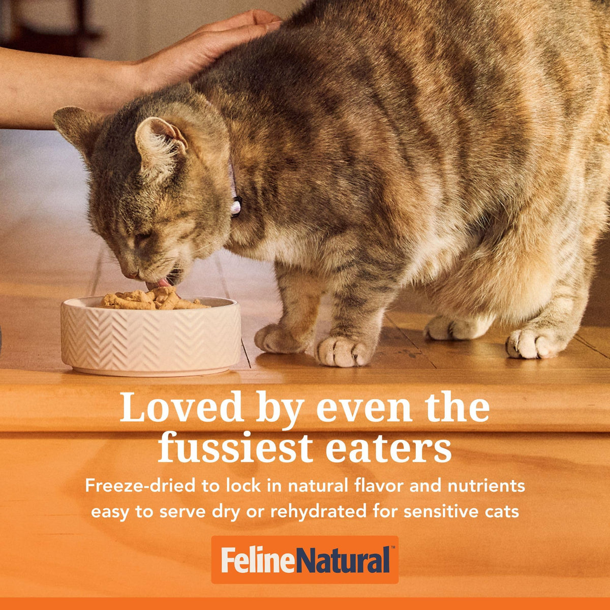High Protein Freeze Dried Cat Food U4353