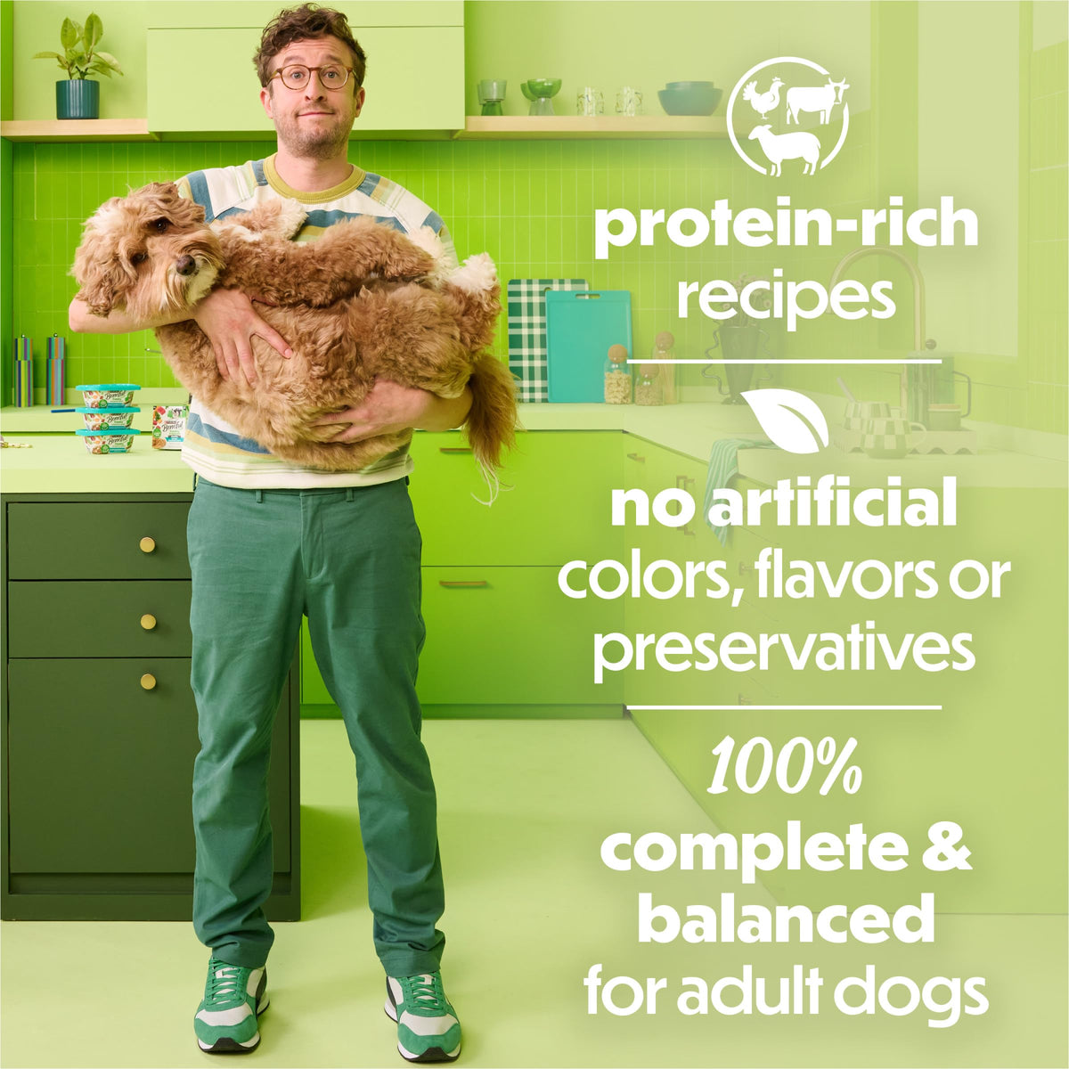 Wet Dog Food 12 10 oz Tub G589409