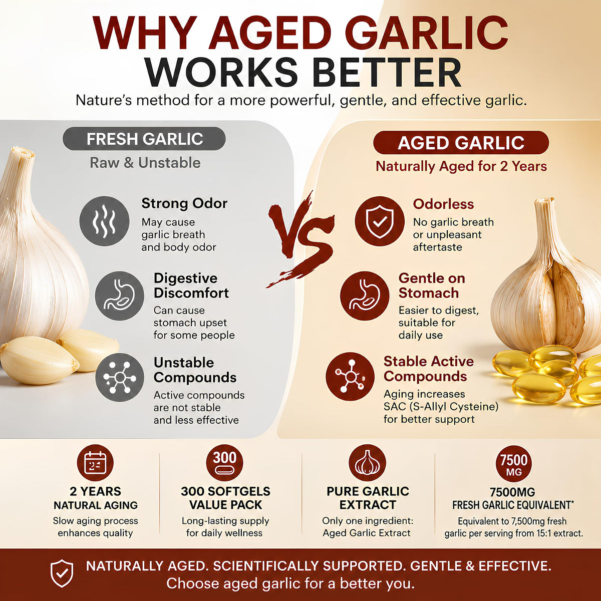 Odorless Aged Garlic Extract 300 Softgels W940839