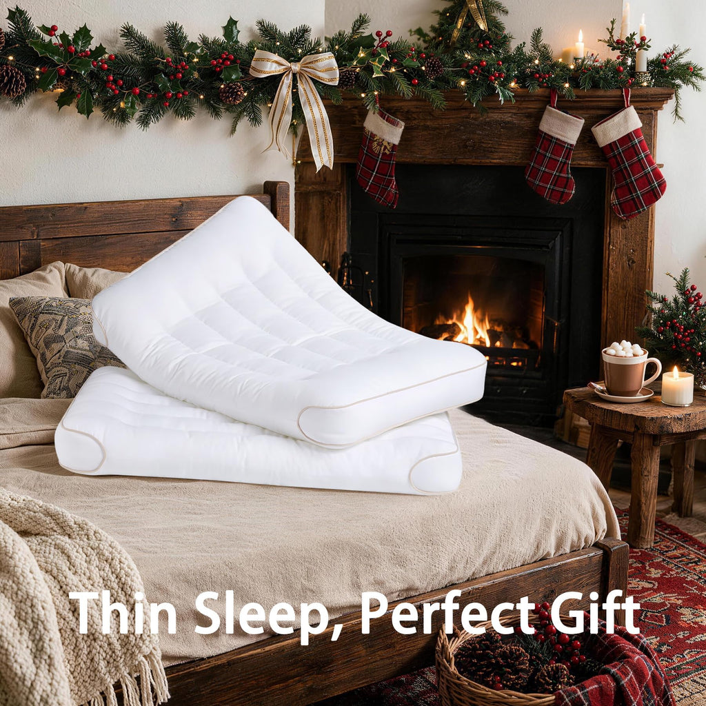 King Size Set of 2 Ultra Thin Pillow U118931