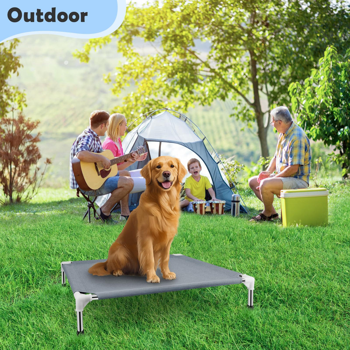 Elevated Raised Dog Bed J7641