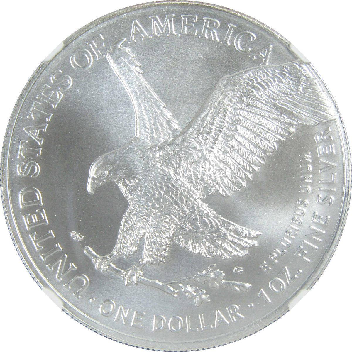 2023 American Silver Eagle Uncirculated $1 Coin E5179