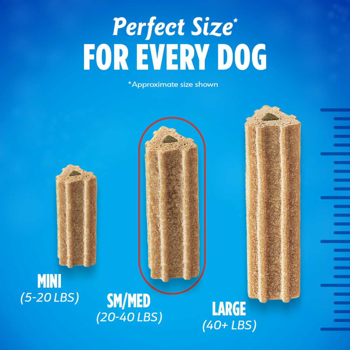 Chicken Flavor Dental Chews for Adult Dogs 30 ct. A863