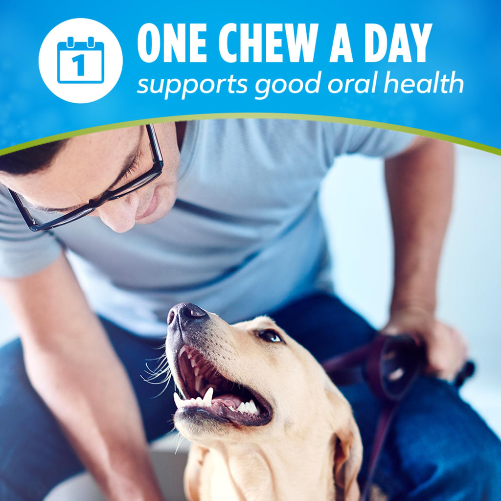 Chicken Flavor Dental Chews for Adult Dogs 30 ct. A863