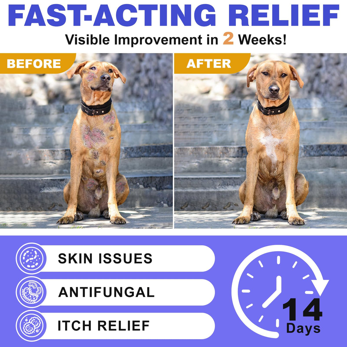 Medicated Dog Shampoo with 2% Miconazole & 2% Chlorhexidine 17 oz P510