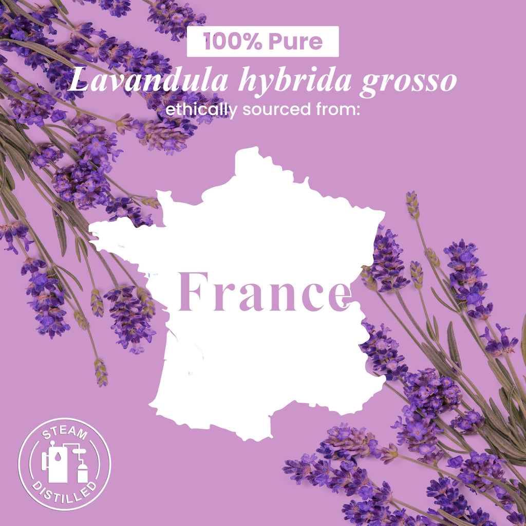 Lavender and Citronella Essential Oils 2 x 4 Fl Oz I2837
