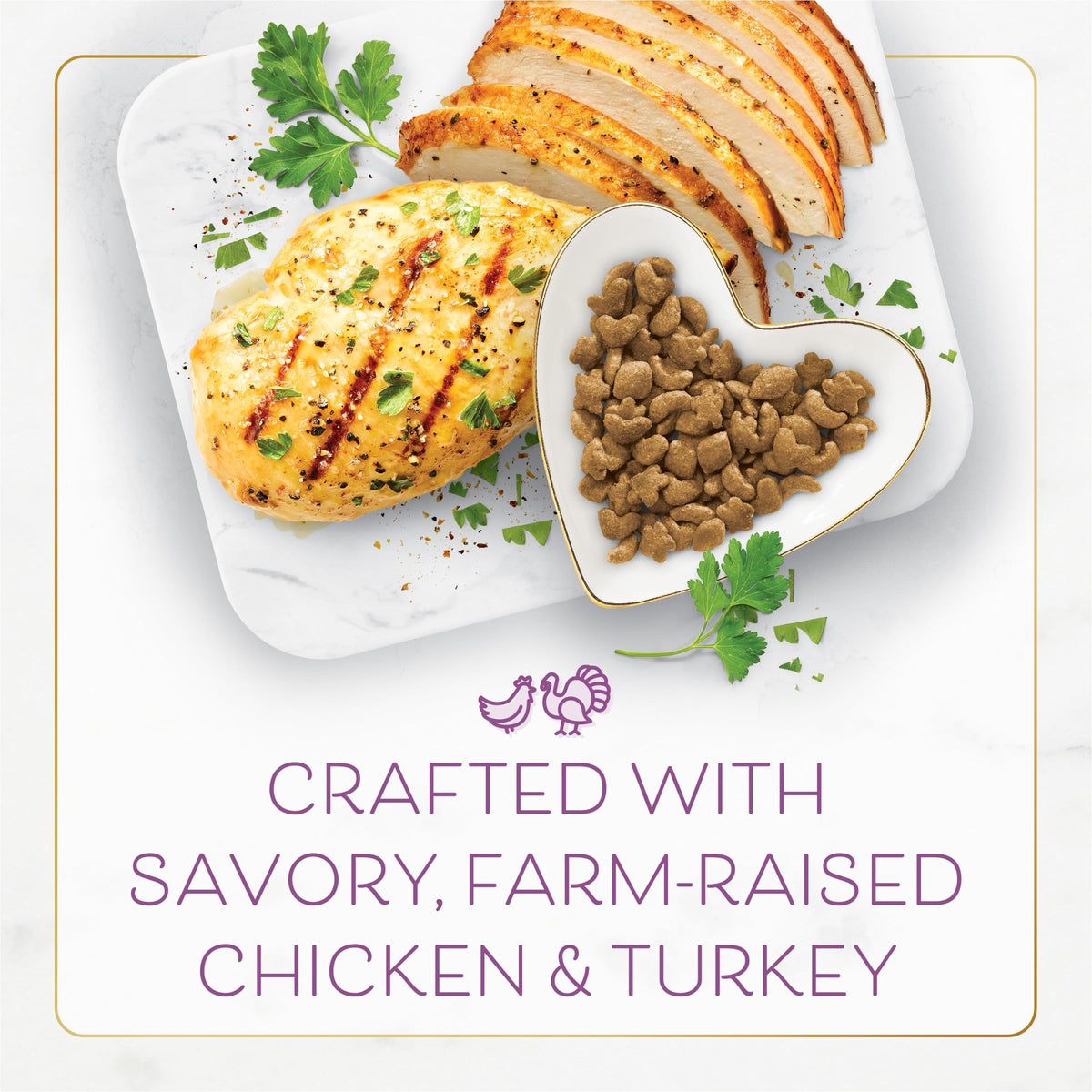 Chicken & Turkey Dry Cat Food 3lb Bag K16956