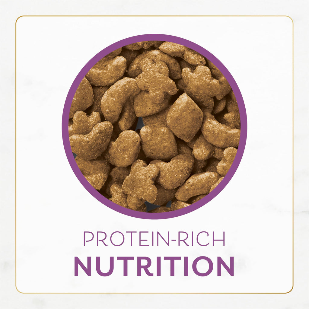 Chicken & Turkey Dry Cat Food 3lb Bag K16956