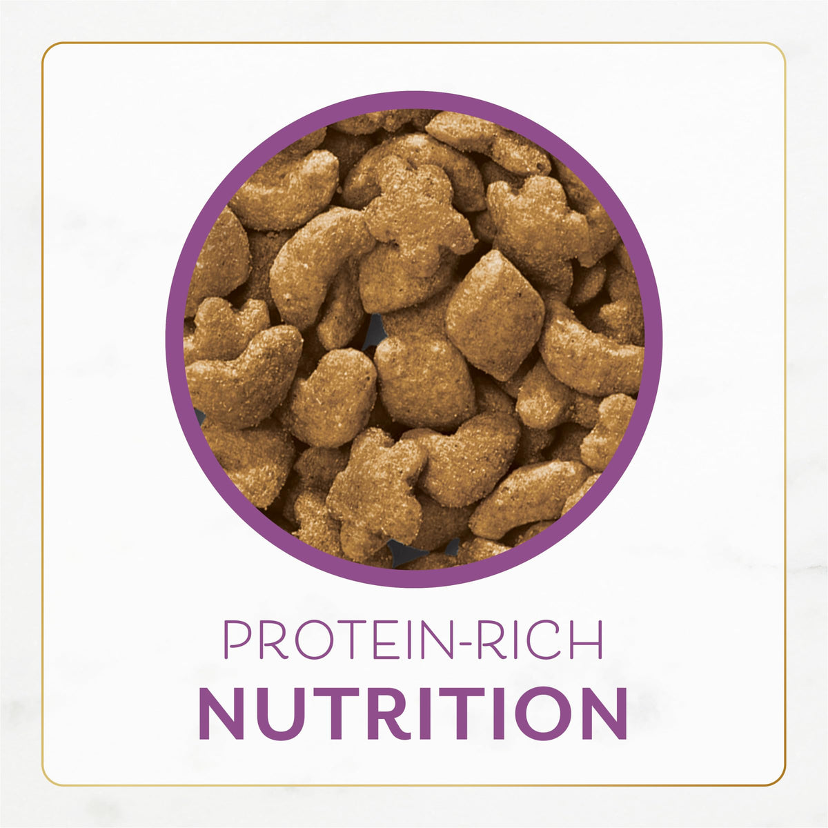 Chicken & Turkey Dry Cat Food 3lb Bag K16956