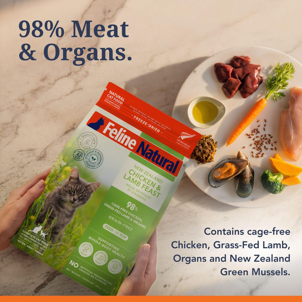 High Protein Freeze Dried Cat Food U4353
