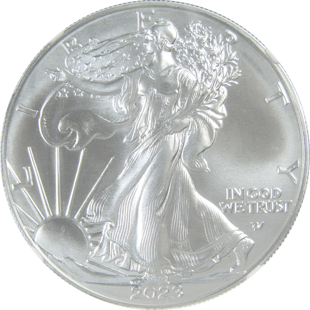2023 American Silver Eagle Uncirculated $1 Coin E5179
