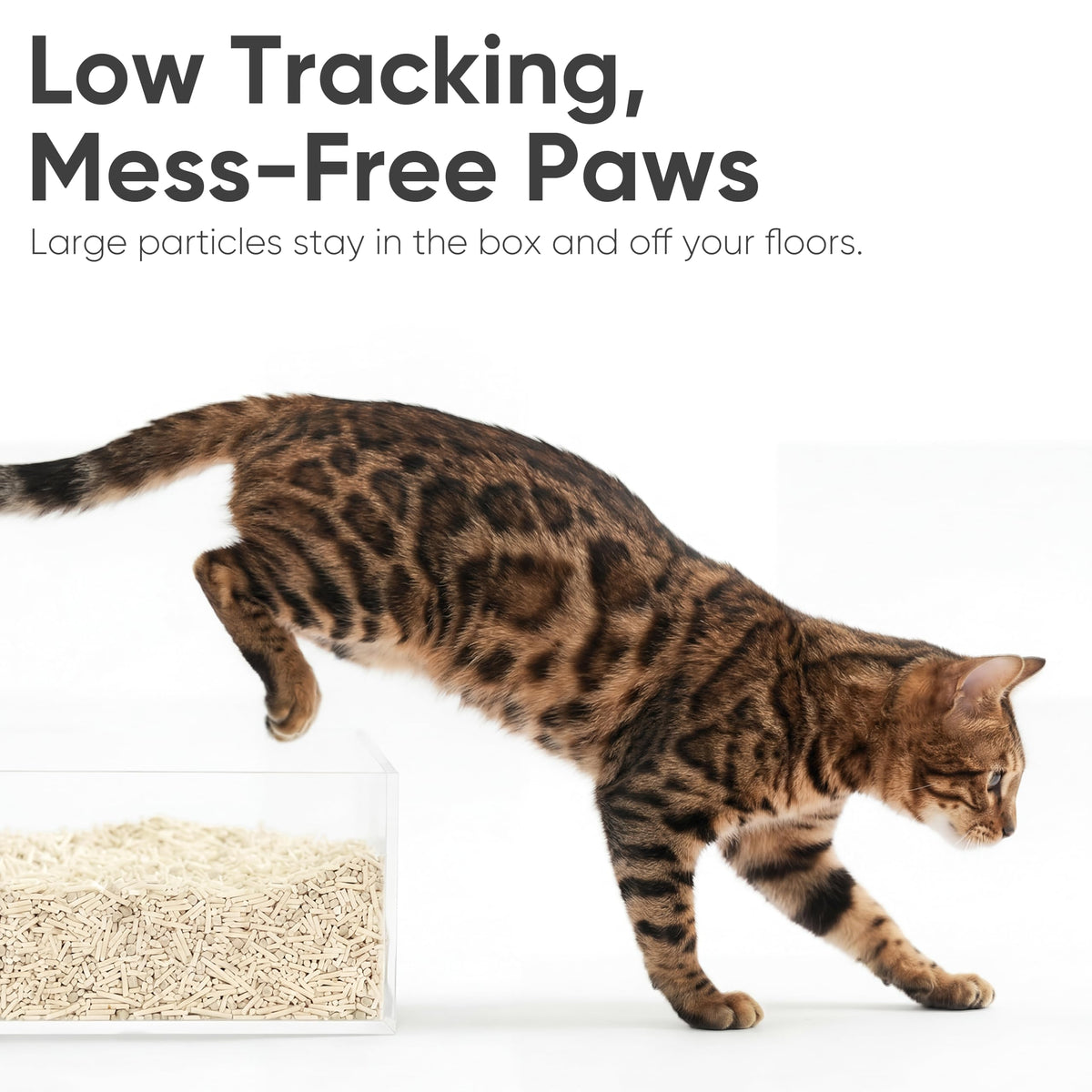 Tofu Cat Litter, Corn Blend, Clumping, Odor Control, Low Dust 18lb S769