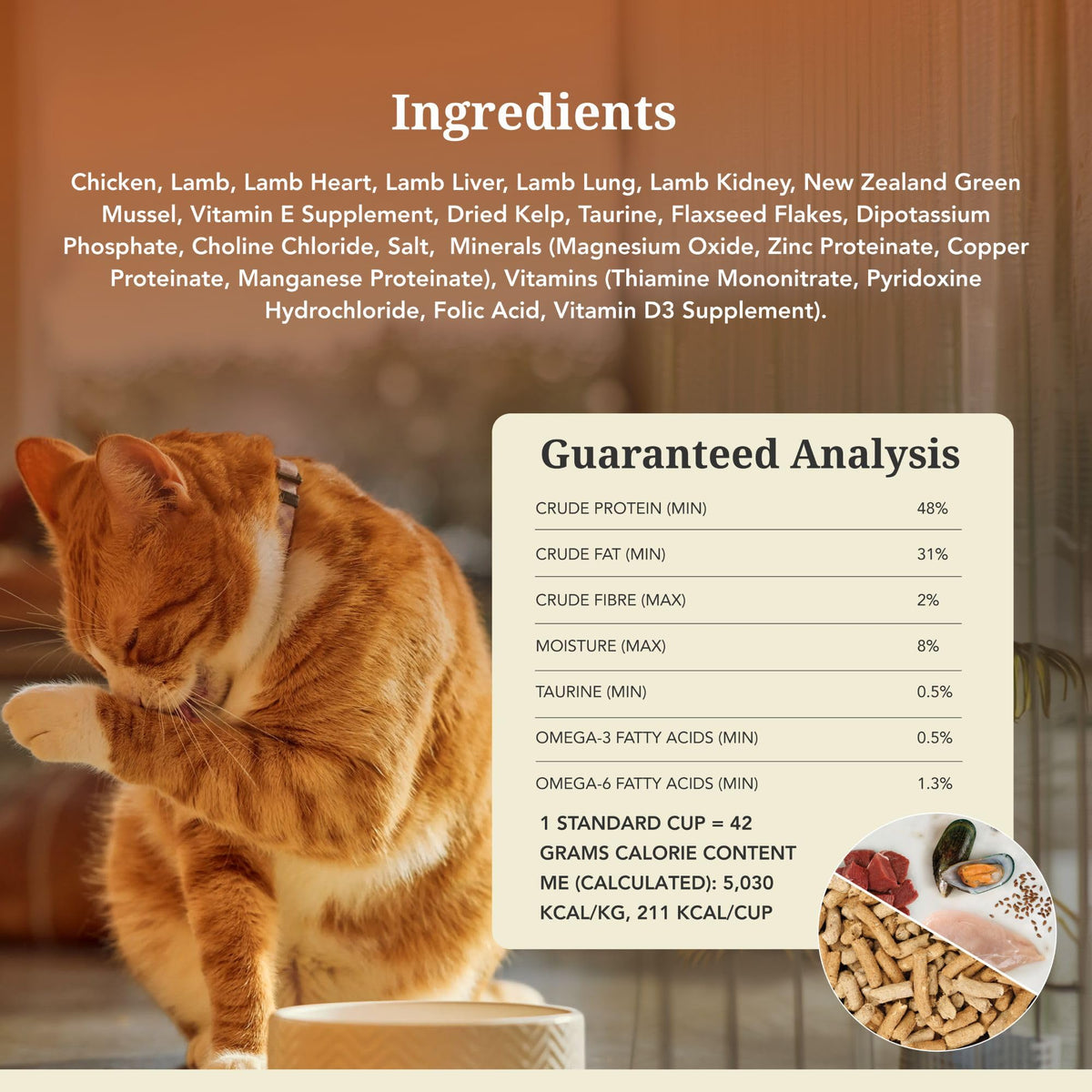 High Protein Freeze Dried Cat Food U4353