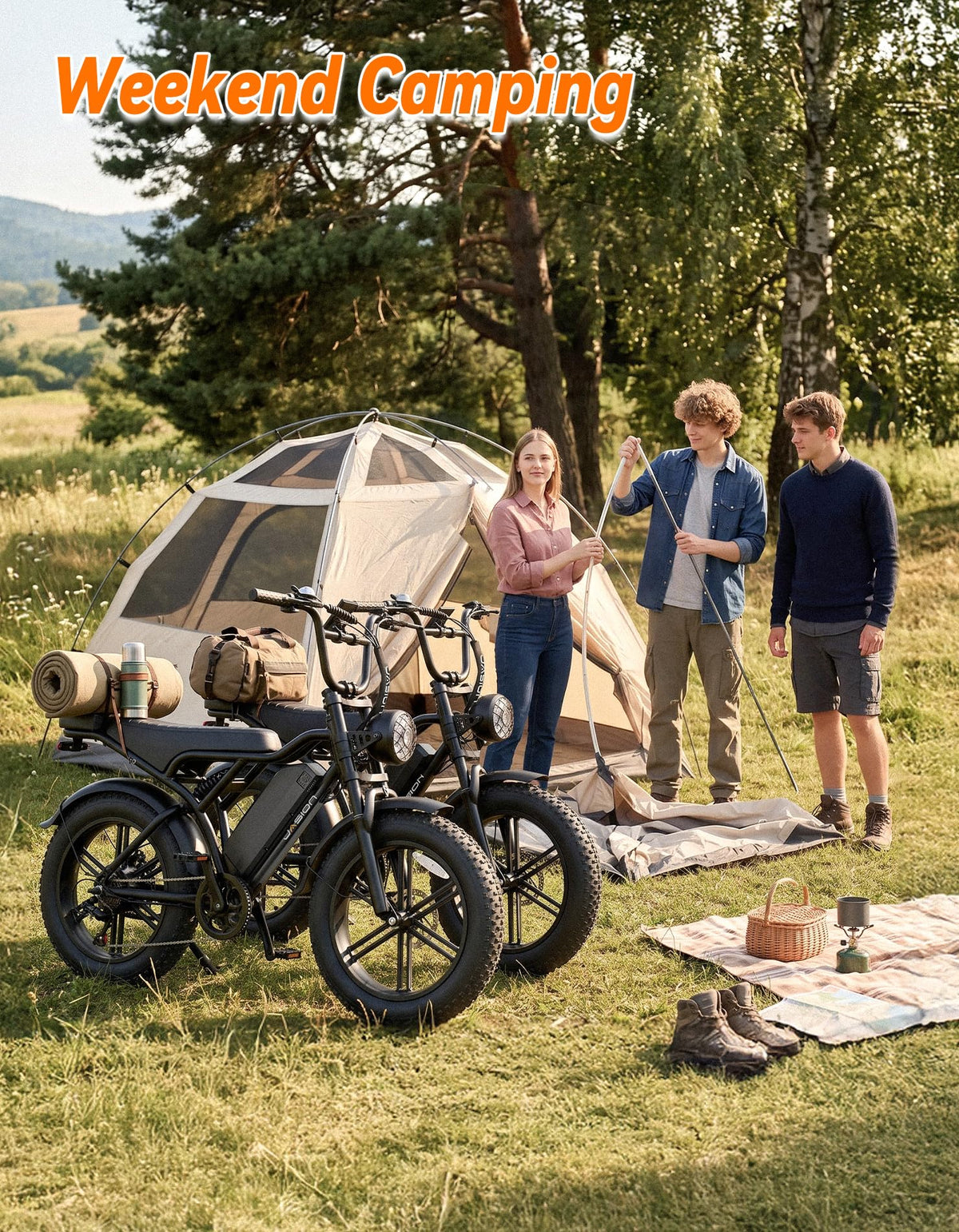 Electric Bike with 48V Removable Battery O396085