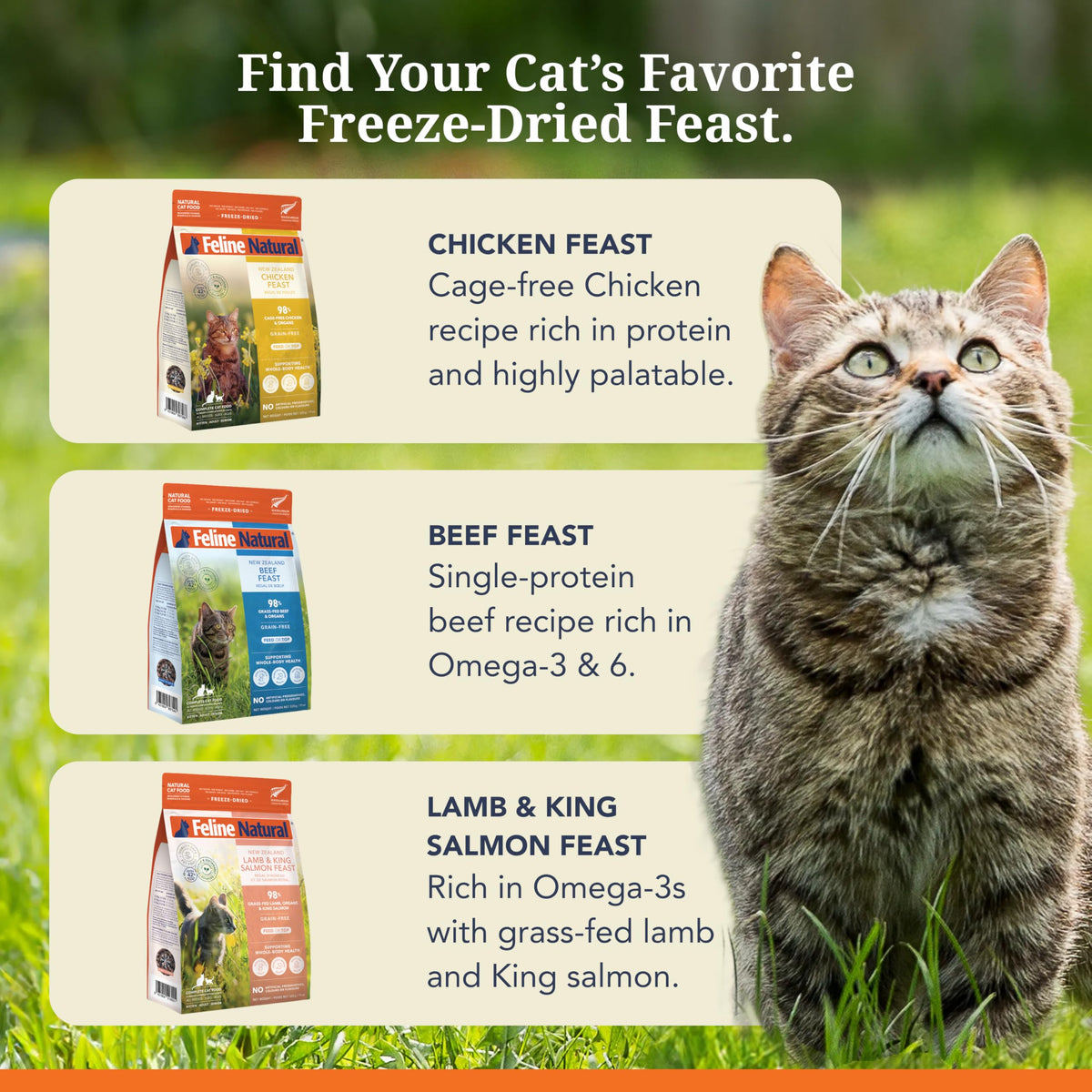 High Protein Freeze Dried Cat Food U4353